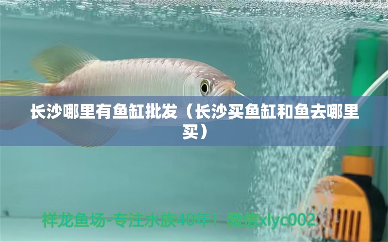 長(zhǎng)沙哪里有魚(yú)缸批發(fā)（長(zhǎng)沙買(mǎi)魚(yú)缸和魚(yú)去哪里買(mǎi)）