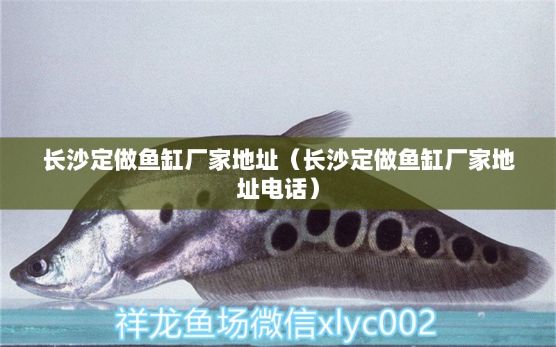 長沙定做魚缸廠家地址（長沙定做魚缸廠家地址電話） 其他品牌魚缸