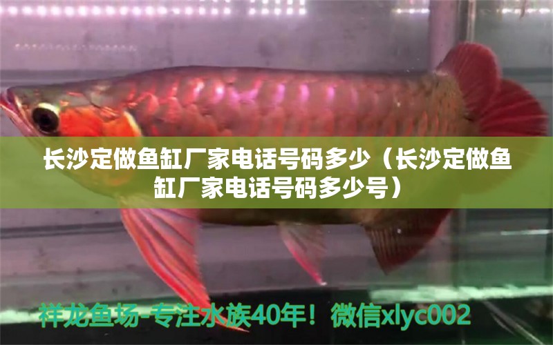 長(zhǎng)沙定做魚缸廠家電話號(hào)碼多少（長(zhǎng)沙定做魚缸廠家電話號(hào)碼多少號(hào)）