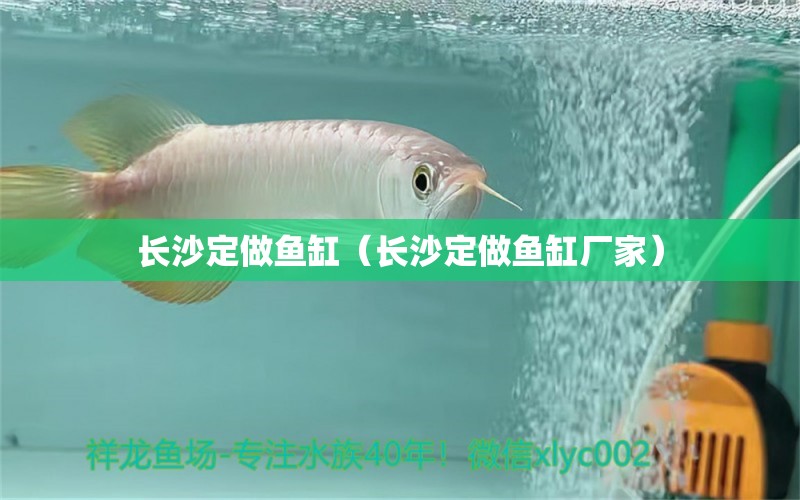 長沙定做魚缸（長沙定做魚缸廠家） 其他品牌魚缸