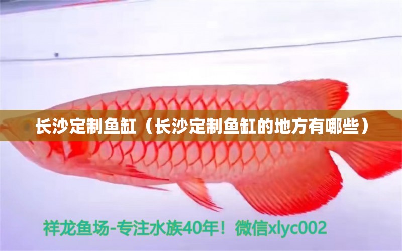 長沙定制魚缸（長沙定制魚缸的地方有哪些） 其他品牌魚缸