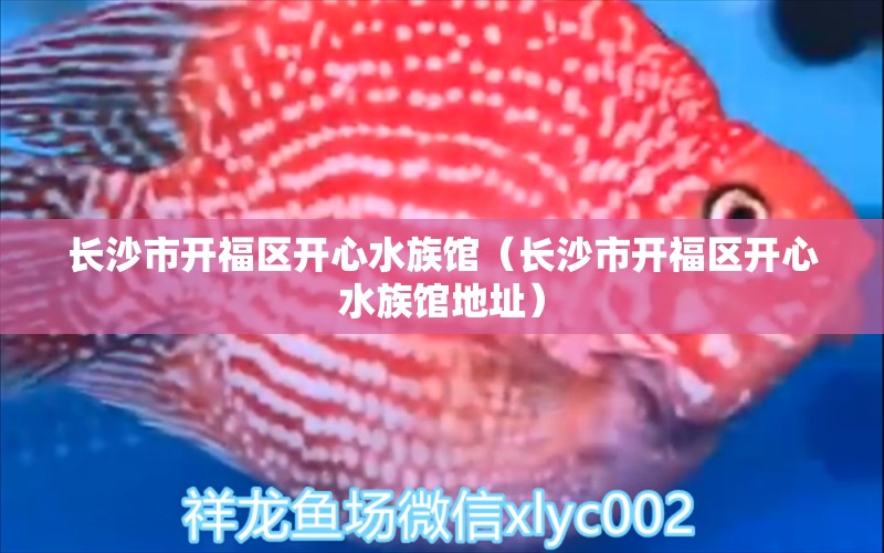 長沙市開福區(qū)開心水族館（長沙市開福區(qū)開心水族館地址）