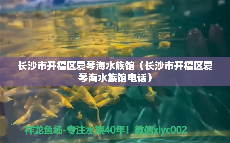 長沙市開福區(qū)愛琴海水族館（長沙市開福區(qū)愛琴海水族館電話）