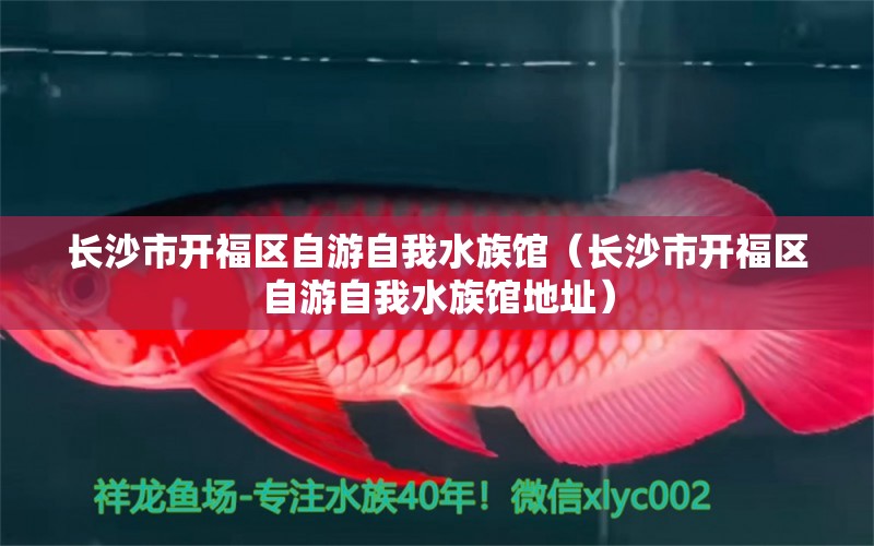 長沙市開福區(qū)自游自我水族館（長沙市開福區(qū)自游自我水族館地址） 全國水族館企業(yè)名錄