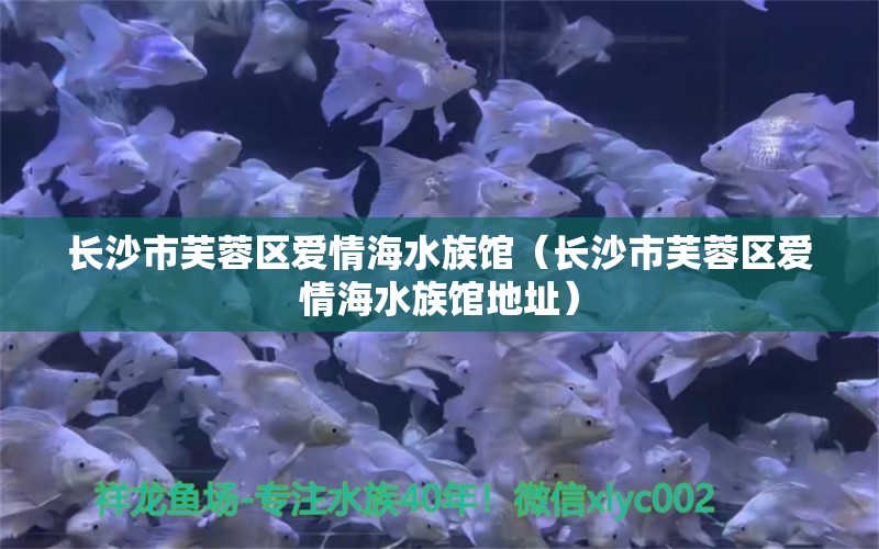 長(zhǎng)沙市芙蓉區(qū)愛情海水族館（長(zhǎng)沙市芙蓉區(qū)愛情海水族館地址）