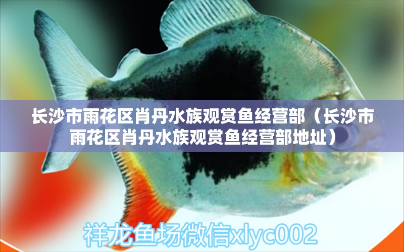 長(zhǎng)沙市雨花區(qū)肖丹水族觀賞魚經(jīng)營(yíng)部（長(zhǎng)沙市雨花區(qū)肖丹水族觀賞魚經(jīng)營(yíng)部地址） 全國(guó)水族館企業(yè)名錄