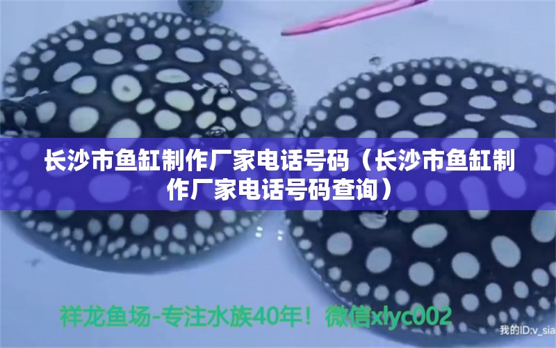 長沙市魚缸制作廠家電話號碼（長沙市魚缸制作廠家電話號碼查詢）