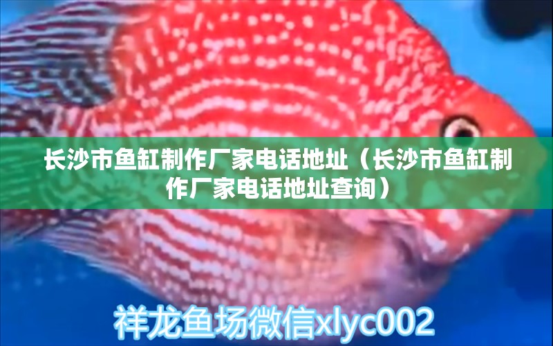 長(zhǎng)沙市魚(yú)缸制作廠(chǎng)家電話(huà)地址（長(zhǎng)沙市魚(yú)缸制作廠(chǎng)家電話(huà)地址查詢(xún)）