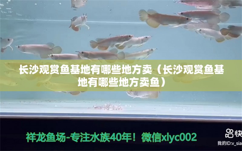 長沙觀賞魚基地有哪些地方賣（長沙觀賞魚基地有哪些地方賣魚） 眼斑魚