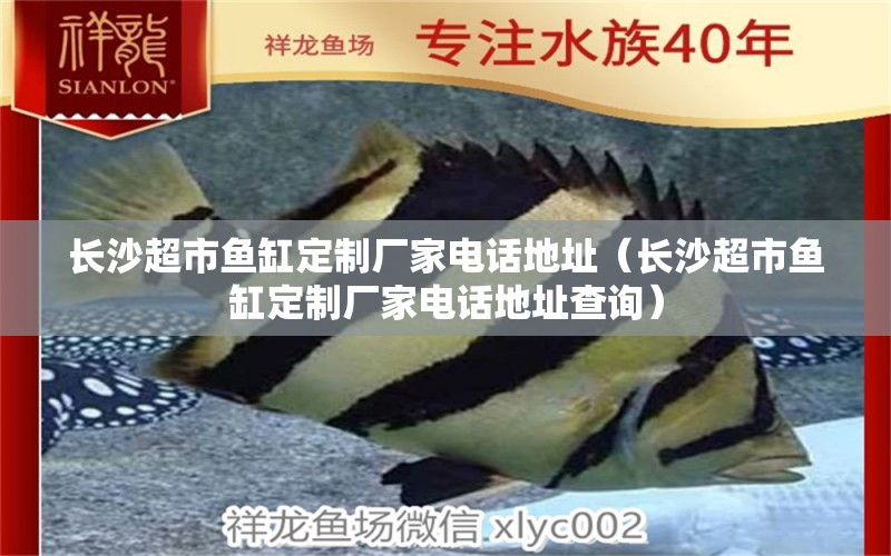 長(zhǎng)沙超市魚(yú)缸定制廠家電話地址（長(zhǎng)沙超市魚(yú)缸定制廠家電話地址查詢） 量子養(yǎng)魚(yú)技術(shù)