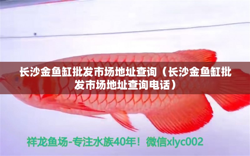 長(zhǎng)沙金魚(yú)缸批發(fā)市場(chǎng)地址查詢（長(zhǎng)沙金魚(yú)缸批發(fā)市場(chǎng)地址查詢電話）