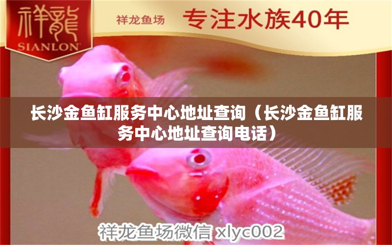 長沙金魚缸服務(wù)中心地址查詢（長沙金魚缸服務(wù)中心地址查詢電話） 其他品牌魚缸