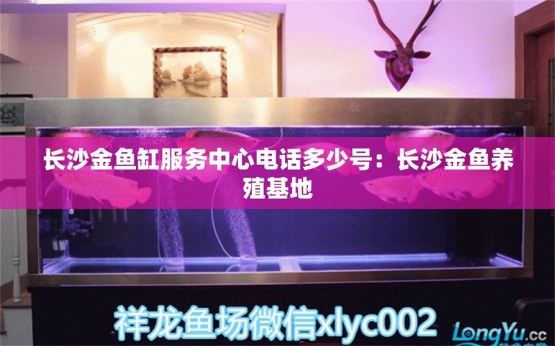 長沙金魚缸服務中心電話多少號：長沙金魚養(yǎng)殖基地