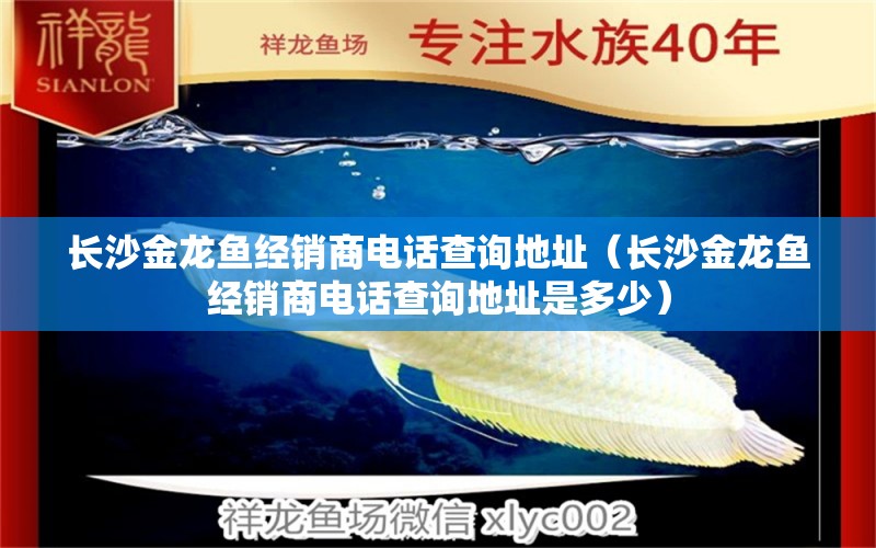 長沙金龍魚經(jīng)銷商電話查詢地址（長沙金龍魚經(jīng)銷商電話查詢地址是多少）