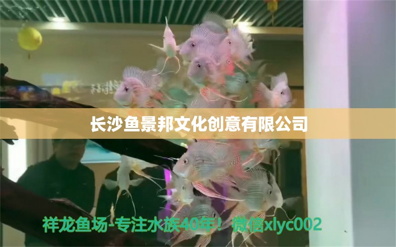 長(zhǎng)沙魚景邦文化創(chuàng)意有限公司