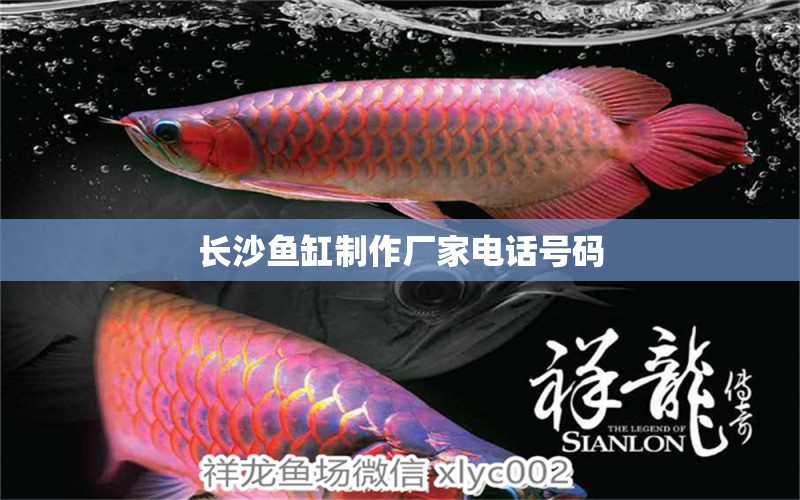 長沙魚缸制作廠家電話號碼