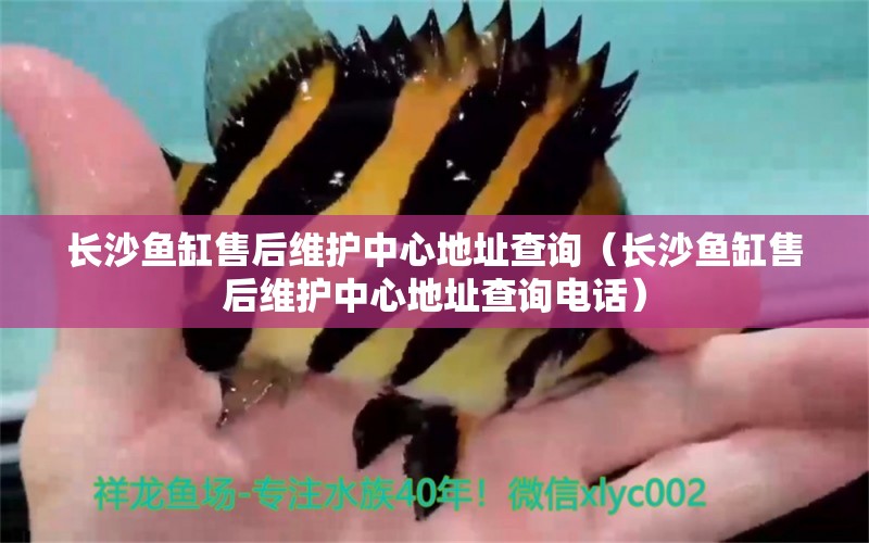 長沙魚缸售后維護(hù)中心地址查詢（長沙魚缸售后維護(hù)中心地址查詢電話）