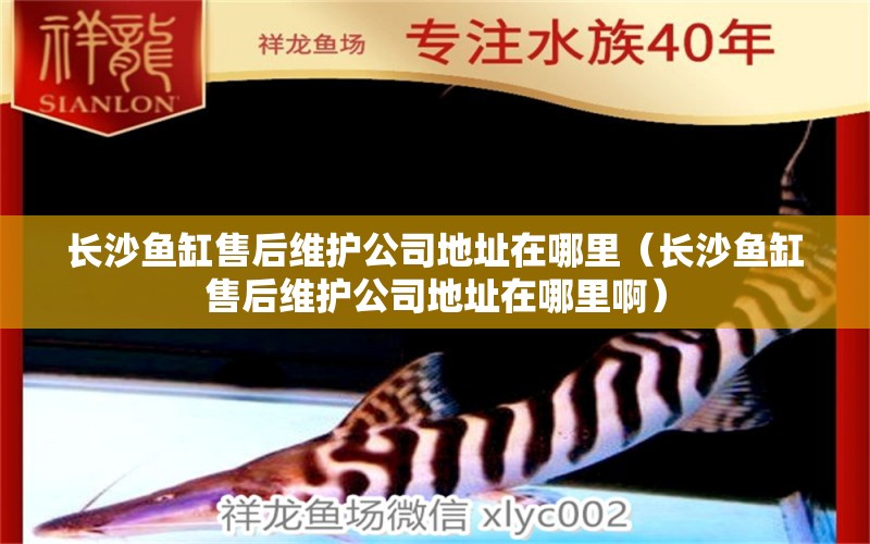 長沙魚缸售后維護(hù)公司地址在哪里（長沙魚缸售后維護(hù)公司地址在哪里?。? title=