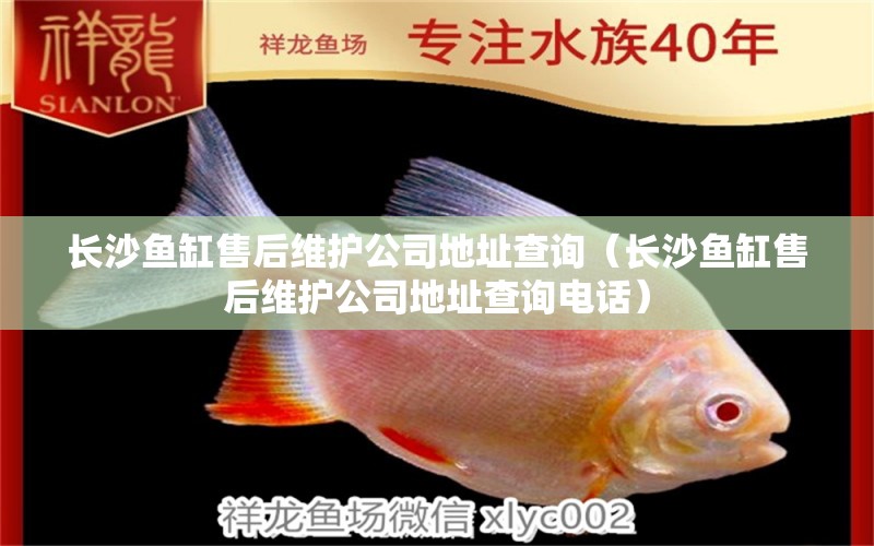 長沙魚缸售后維護(hù)公司地址查詢（長沙魚缸售后維護(hù)公司地址查詢電話）