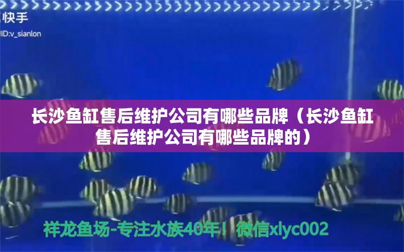 長沙魚缸售后維護(hù)公司有哪些品牌（長沙魚缸售后維護(hù)公司有哪些品牌的）