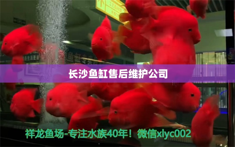 長(zhǎng)沙魚(yú)缸售后維護(hù)公司