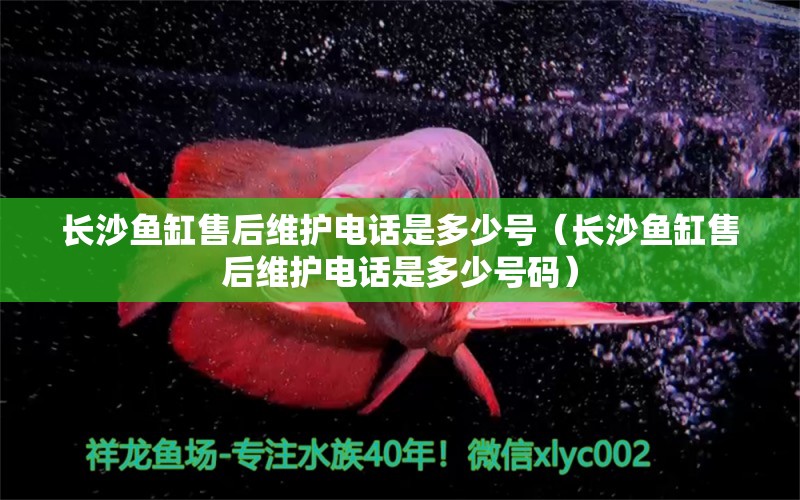 長沙魚缸售后維護(hù)電話是多少號（長沙魚缸售后維護(hù)電話是多少號碼）