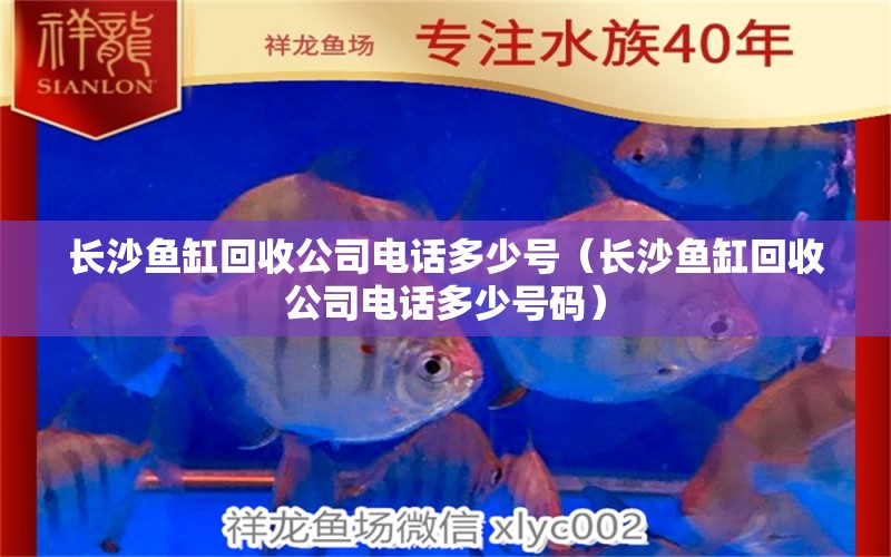 長(zhǎng)沙魚(yú)缸回收公司電話多少號(hào)（長(zhǎng)沙魚(yú)缸回收公司電話多少號(hào)碼） 狗仔招財(cái)貓魚(yú)