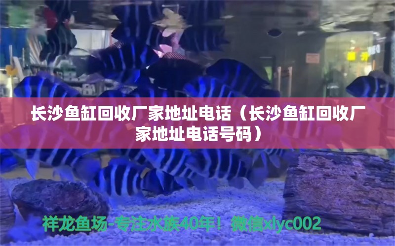 長沙魚缸回收廠家地址電話（長沙魚缸回收廠家地址電話號碼） 其它水族用具設(shè)備