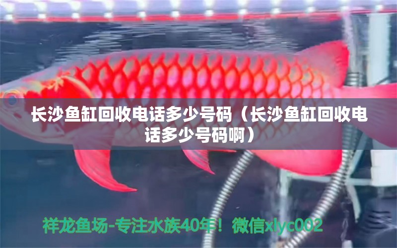 長沙魚缸回收電話多少號碼（長沙魚缸回收電話多少號碼?。?觀賞魚市場（混養(yǎng)魚）