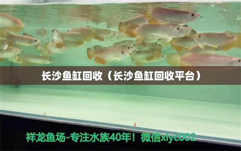 長(zhǎng)沙魚缸回收（長(zhǎng)沙魚缸回收平臺(tái)）