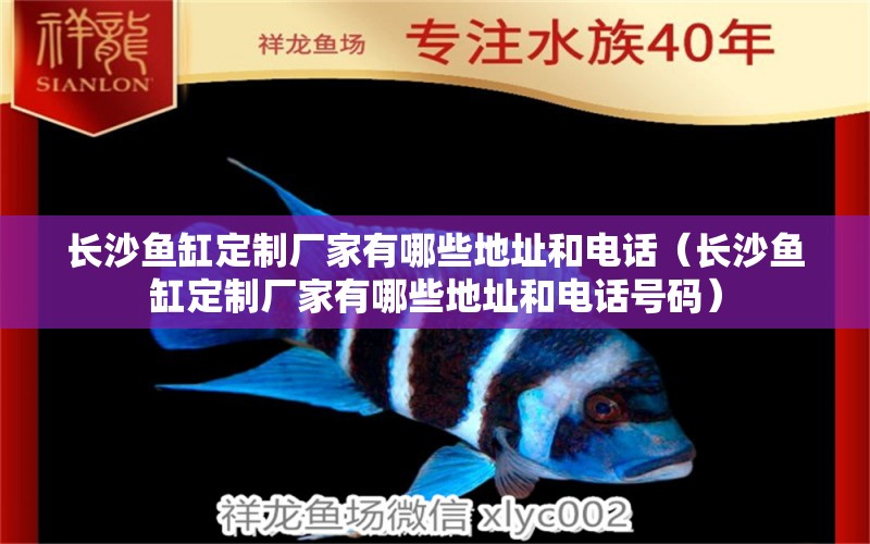 長(zhǎng)沙魚缸定制廠家有哪些地址和電話（長(zhǎng)沙魚缸定制廠家有哪些地址和電話號(hào)碼）