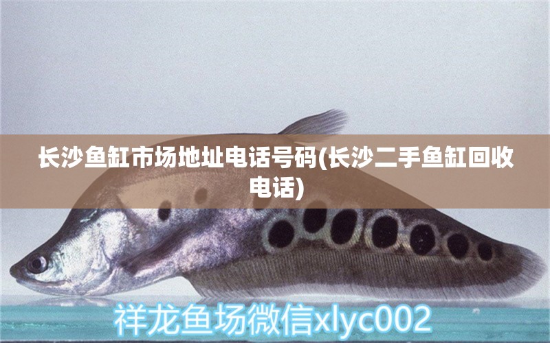 長沙魚缸市場地址電話號碼(長沙二手魚缸回收電話) 黑水素