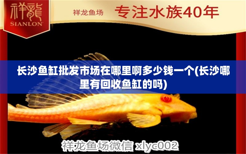 長沙魚缸批發(fā)市場在哪里啊多少錢一個(長沙哪里有回收魚缸的嗎) 泰國斗魚