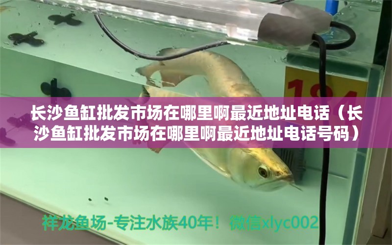 長沙魚缸批發(fā)市場在哪里啊最近地址電話（長沙魚缸批發(fā)市場在哪里啊最近地址電話號碼）