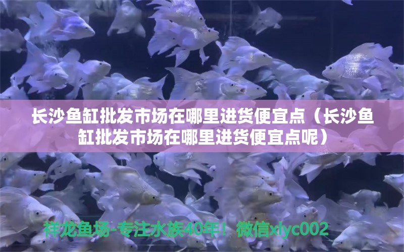 長沙魚缸批發(fā)市場在哪里進貨便宜點（長沙魚缸批發(fā)市場在哪里進貨便宜點呢） 祥龍進口元寶鳳凰魚 第1張