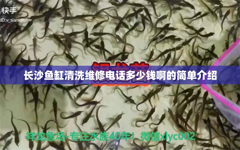 長(zhǎng)沙魚缸清洗維修電話多少錢啊的簡(jiǎn)單介紹 養(yǎng)魚知識(shí) 第1張