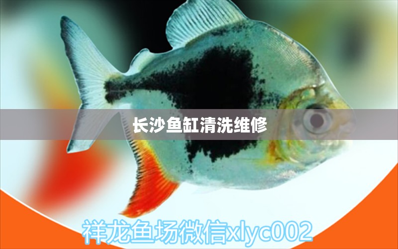 長(zhǎng)沙魚缸清洗維修