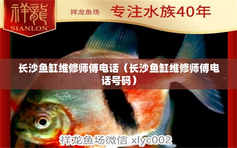 長沙魚缸維修師傅電話（長沙魚缸維修師傅電話號碼） 其他品牌魚缸