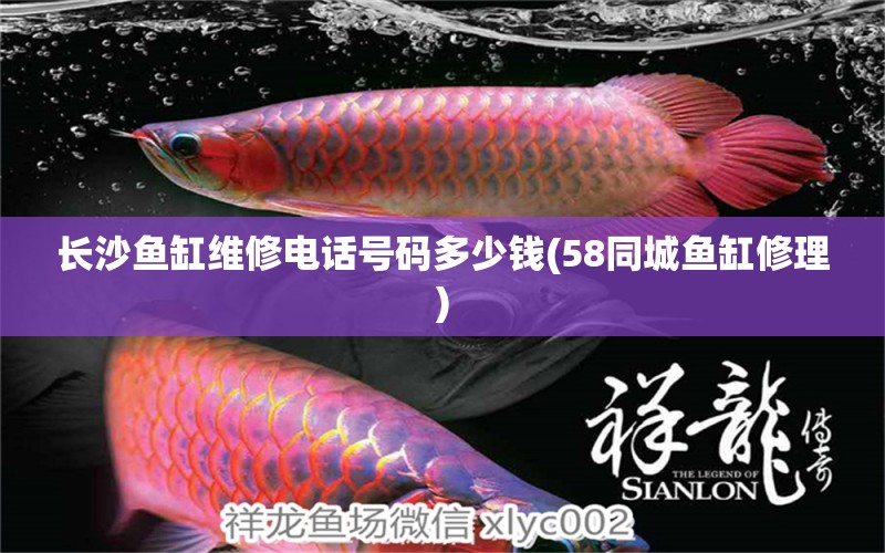 長沙魚缸維修電話號碼多少錢(58同城魚缸修理) 其它水族用具設(shè)備 第1張