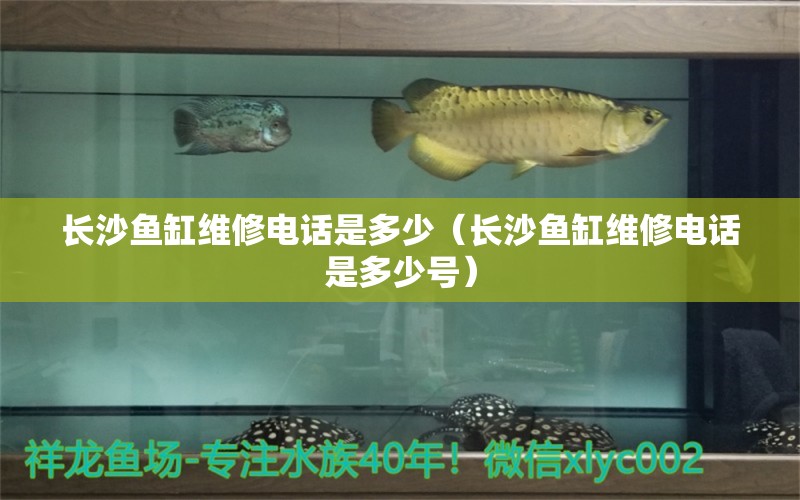 長(zhǎng)沙魚(yú)缸維修電話是多少（長(zhǎng)沙魚(yú)缸維修電話是多少號(hào)） 其他品牌魚(yú)缸