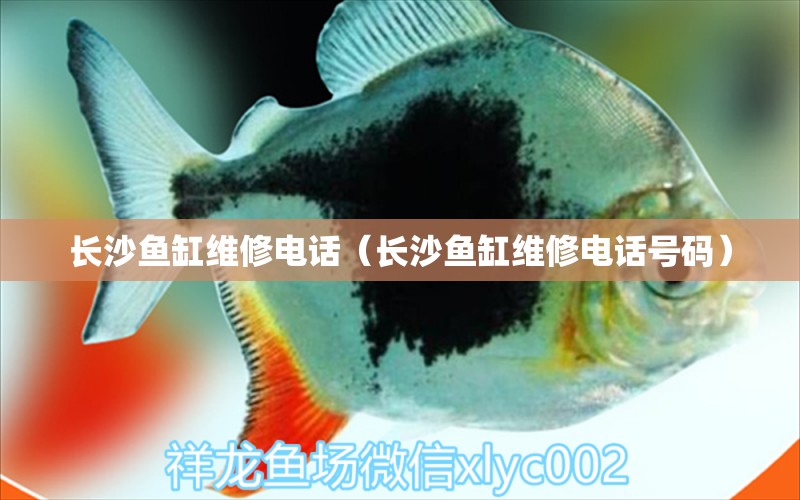 長(zhǎng)沙魚缸維修電話（長(zhǎng)沙魚缸維修電話號(hào)碼）