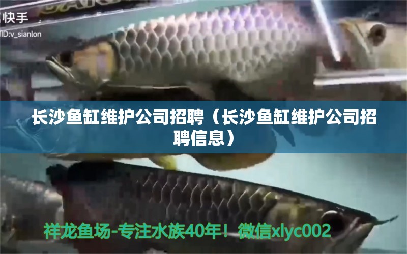 長沙魚缸維護(hù)公司招聘（長沙魚缸維護(hù)公司招聘信息） 其他品牌魚缸