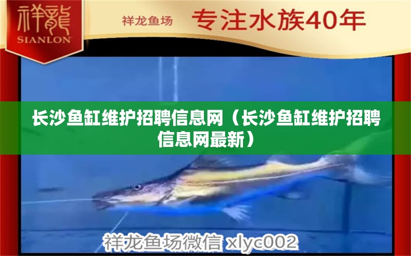 長沙魚缸維護招聘信息網(wǎng)（長沙魚缸維護招聘信息網(wǎng)最新）