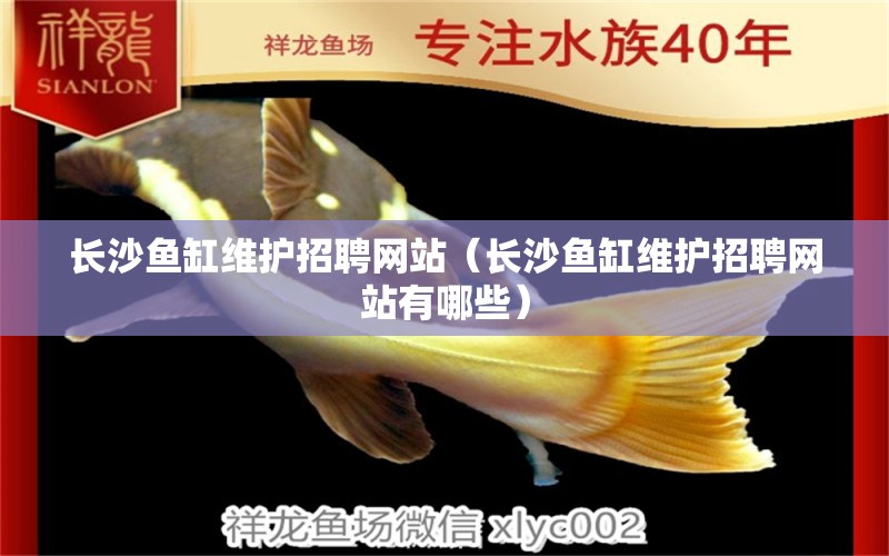 長沙魚缸維護招聘網(wǎng)站（長沙魚缸維護招聘網(wǎng)站有哪些）