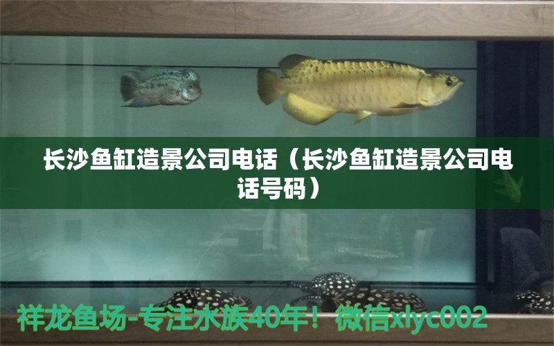 長(zhǎng)沙魚(yú)缸造景公司電話(huà)（長(zhǎng)沙魚(yú)缸造景公司電話(huà)號(hào)碼）