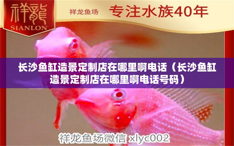 長沙魚缸造景定制店在哪里啊電話（長沙魚缸造景定制店在哪里啊電話號碼）