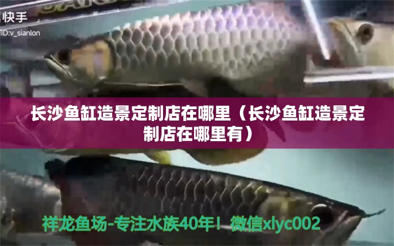 長(zhǎng)沙魚缸造景定制店在哪里（長(zhǎng)沙魚缸造景定制店在哪里有）