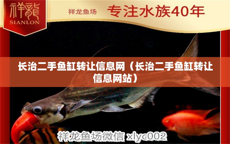 長治二手魚缸轉(zhuǎn)讓信息網(wǎng)（長治二手魚缸轉(zhuǎn)讓信息網(wǎng)站） 祥龍龍魚魚糧 第1張