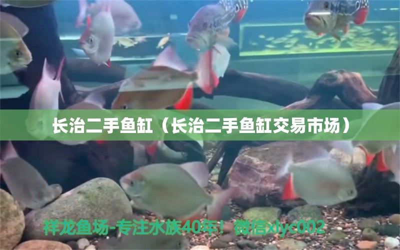 長治二手魚缸（長治二手魚缸交易市場）