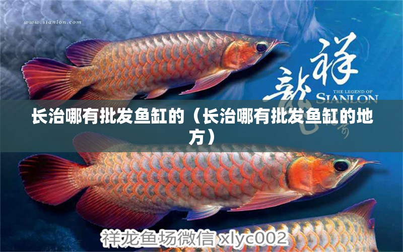 長治哪有批發(fā)魚缸的（長治哪有批發(fā)魚缸的地方）